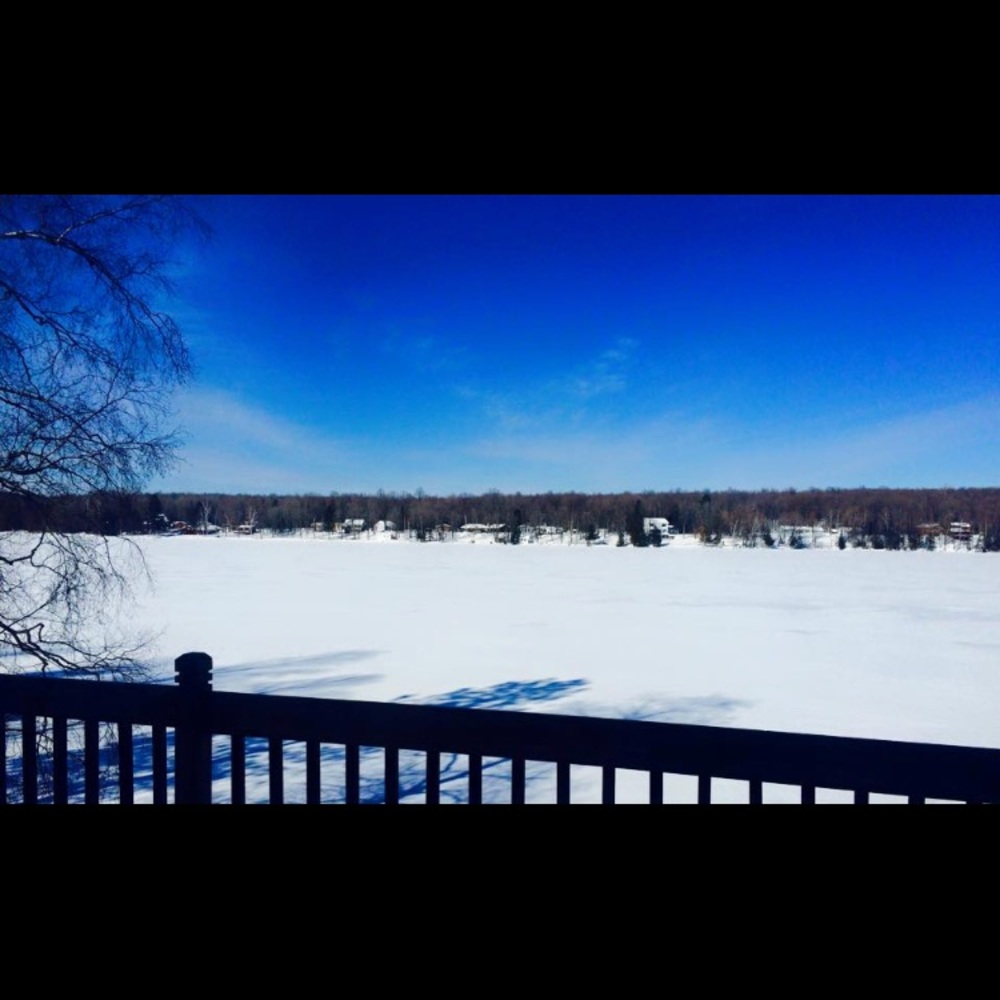 Meet your Posher, Maggie